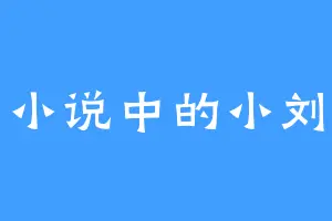 小说中的小刘