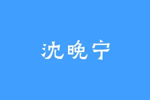 沈晚宁