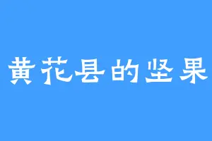黄花县的坚果