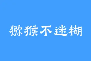 猕猴不迷糊