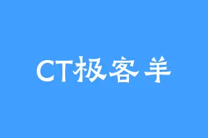 CT极客羊