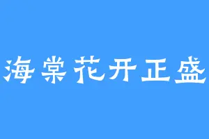 海棠花开正盛