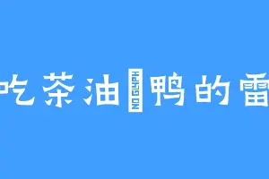 爱吃茶油焗鸭的雷战