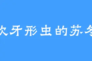 喜欢牙形虫的苏冬道