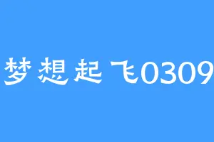 梦想起飞0309