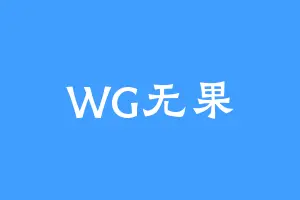 WG无果