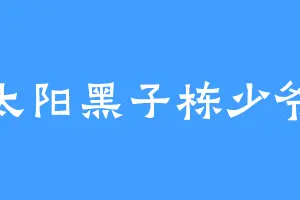 太阳黑子栋少爷