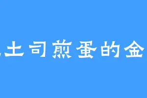 爱吃土司煎蛋的金戴银