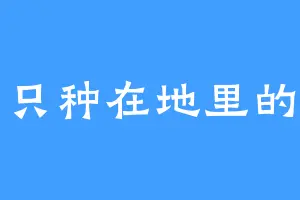 一只种在地里的狗