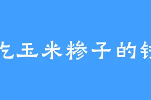 爱吃玉米糁子的钱总