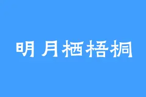 明月栖梧桐