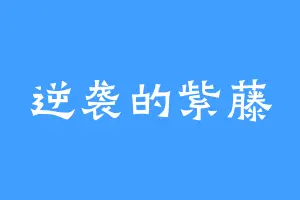 逆袭的紫藤