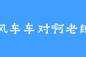 风车车对啊老练