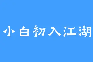 小白初入江湖