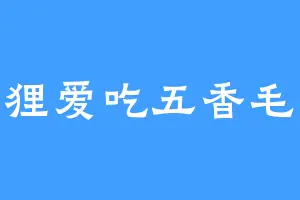 小狸爱吃五香毛嗑