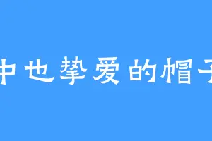 中也挚爱的帽子