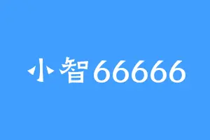 小智66666