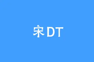 宋DT