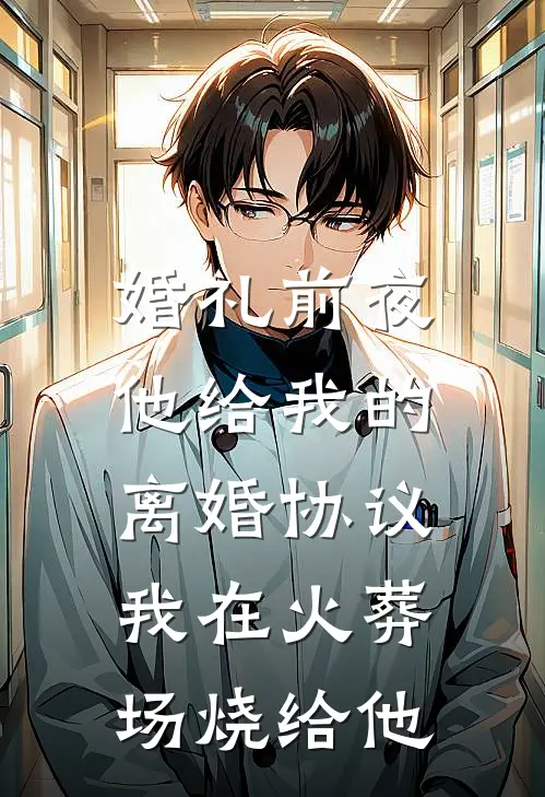 婚礼前夜，他给我的离婚协议，我在火葬场烧给他(时衍陆时衍)全本免费在线阅读_时衍陆时衍全文阅读