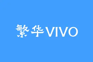 繁华VIVO