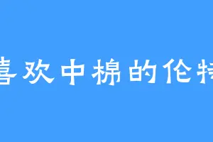喜欢中棉的伦特