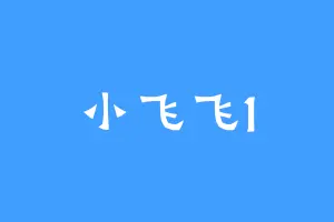 小飞飞1