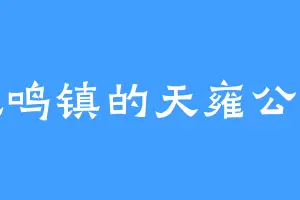 凤鸣镇的天雍公主