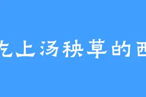 爱吃上汤秧草的西莱