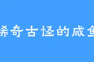 稀奇古怪的咸鱼
