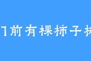 门前有棵柿子树