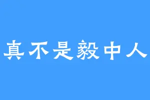 真不是毅中人