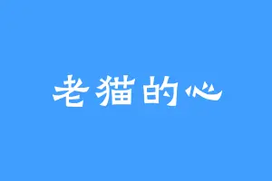 老猫的心