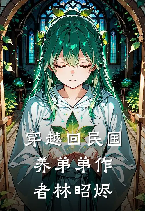 穿越回民国养弟弟作者 林昭烬