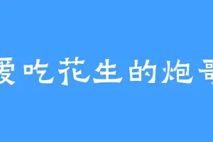 爱吃花生的炮哥