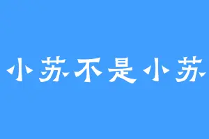 小苏不是小苏