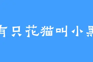 有只花猫叫小黑