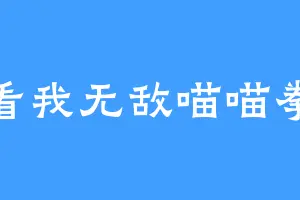 看我无敌喵喵拳