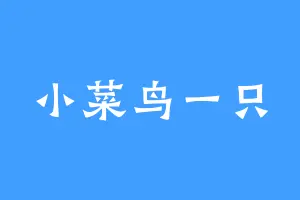 小菜鸟一只