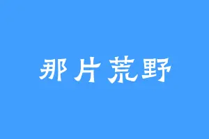 那片荒野