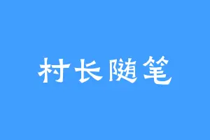 村长随笔