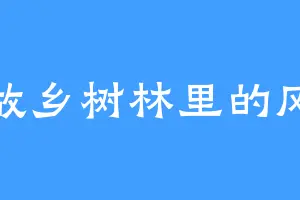 故乡树林里的风