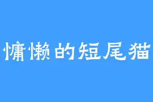 慵懒的短尾猫