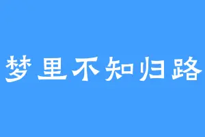 梦里不知归路