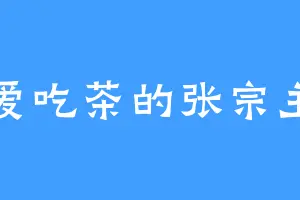 爱吃茶的张宗主