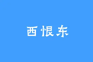 西恨东