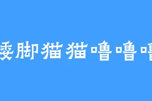 矮脚猫猫噜噜噜