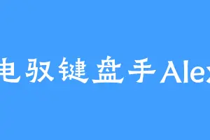电驭键盘手Alex