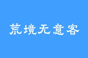 荒境无意客