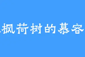 喜欢枫荷树的慕容公子