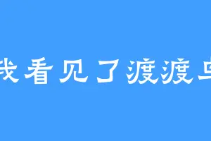 我看见了渡渡鸟